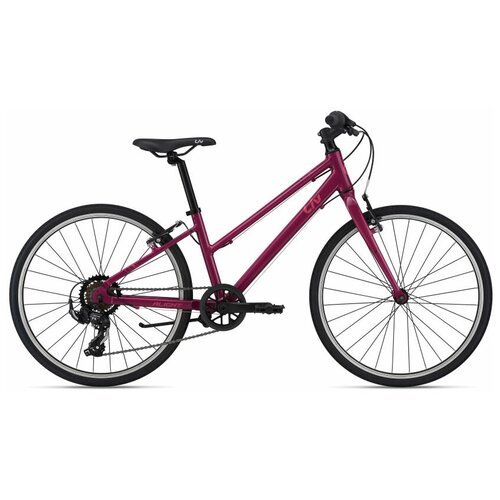 Велосипед Giant Alight 24 (2021) Фиолетовый