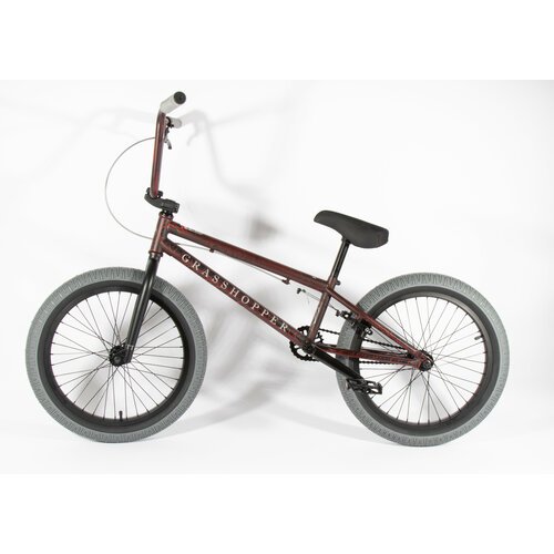 Велосипед BMX TECH TEAM GRASSHOPPER 20' 2022 красно-серый NN004284 NN004284