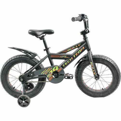 Детский велосипед TECH TEAM BULLY 2021 черный 16 ' NN001521 NN001521