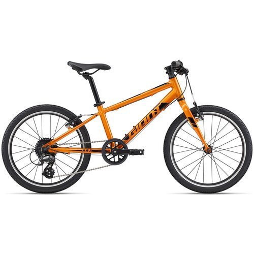 Детский велосипед Giant ARX 20 (2022) оранжевый 10.5' (требует финальной сборки)
