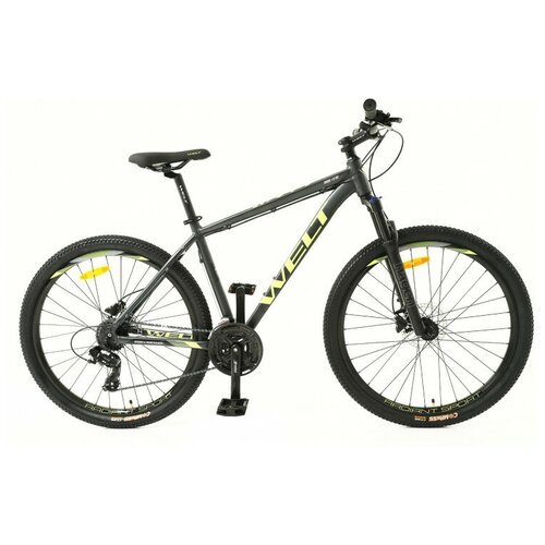 Горный велосипед Welt Ridge 1.0 HD 29 (2022) серый M