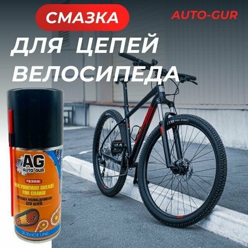 Молибденовая смазка для цепей велосипеда, мотоцикла и. т. п Professional (спрей), 210 мл. AG888 / 210