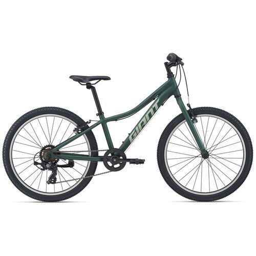 Горный (MTB) велосипед Giant XtC Jr 24 Lite (2021) зелeный (требует финальной сборки)