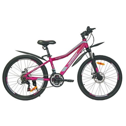 Велосипед Nameless J4000DW 24' синий, розовый /24 '/13.0 '2021 года (J4000DW-PN/BL-13)