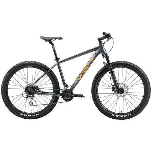 Горный (MTB) велосипед Welt Rockfall Se Plus (2021) серый L (требует финальной сборки)