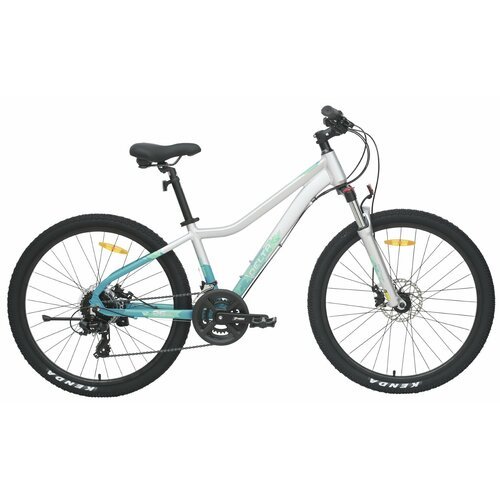 Велосипед TECH TEAM Delta 26'х14' серебряный 2024 (алюминий) NN012629 NN012629