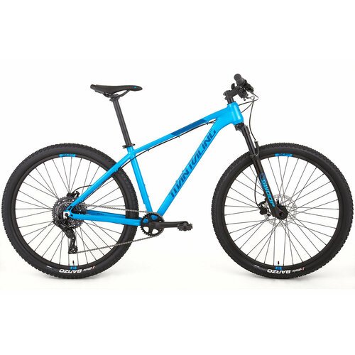 Велосипед Titan Racing Rogue Ryde (2024) M(17') Cobalt Blue