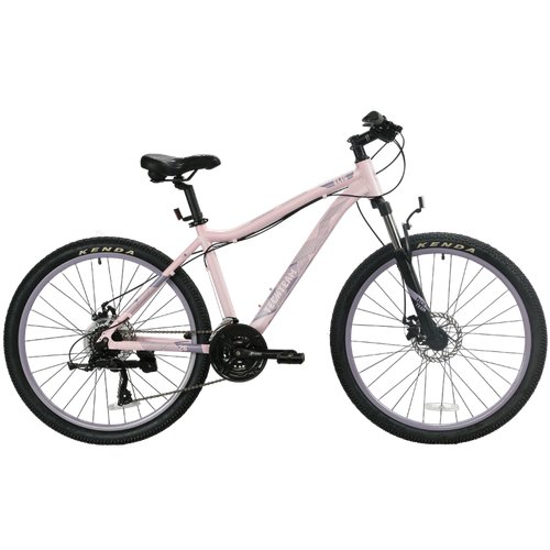 Горный (MTB) велосипед TechTeam Elis 26 disc (2022), рама 17, розовый