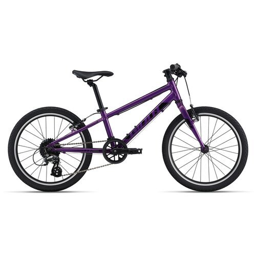 Детский велосипед Giant ARX 20 (2022) фиолетовый 10.5' (требует финальной сборки)
