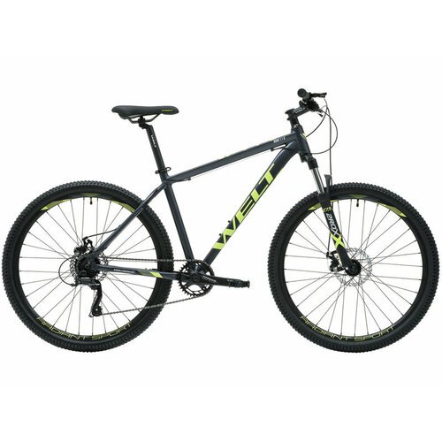 Горный велосипед Welt Ridge 1.1 D 29, год 2024, цвет Серебристый, ростовка 18