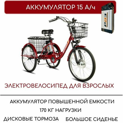 Электровелосипед трехколесный для взрослых РВЗ 'Чемпион', 250 15, 24', красный